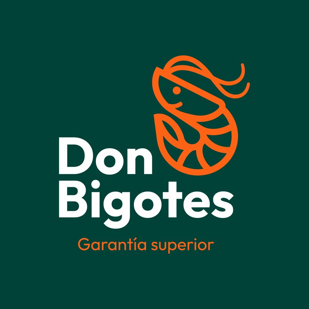 Don Bigotes